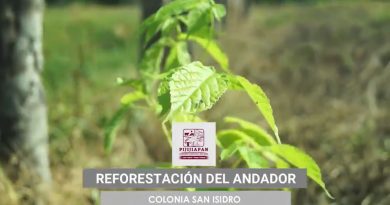 Reforestación Andador San Isidro