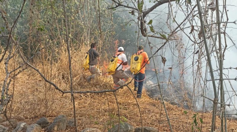 Combate a incendios forestales