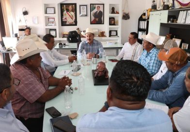 En el campo, seguimos trabajando